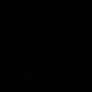 Meet your Posher, Reagan